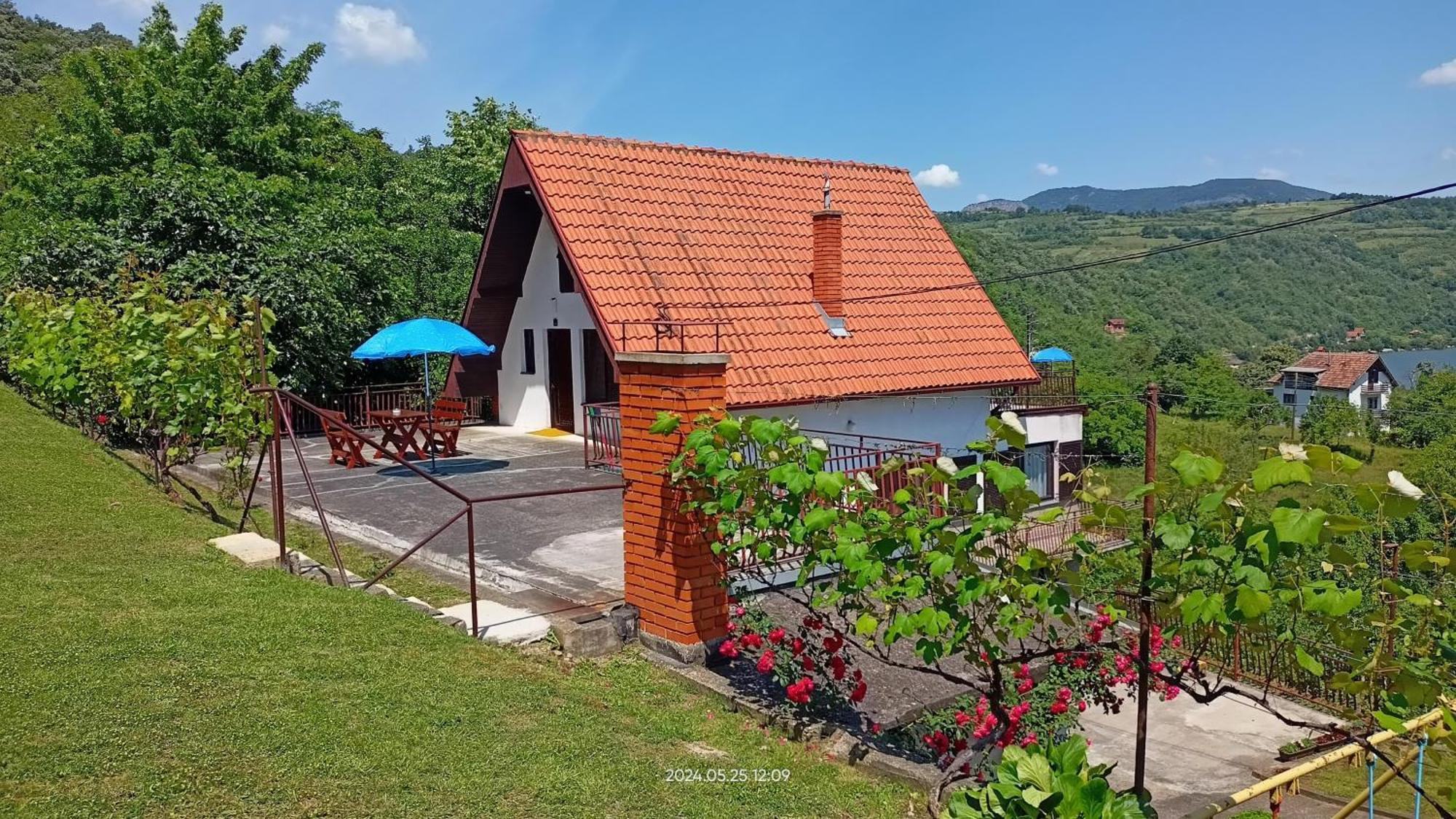 Apartman Duric Доні-Мілановац Екстер'єр фото